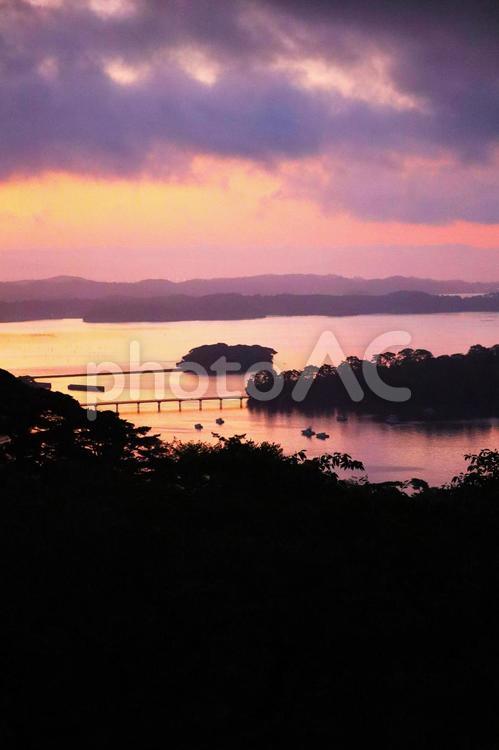 朝の松島　その6 自然,晴れ,晴れの日の写真素材