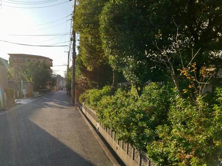 夕方の街 夕方の街 街並み,住宅街,植え込みの写真素材