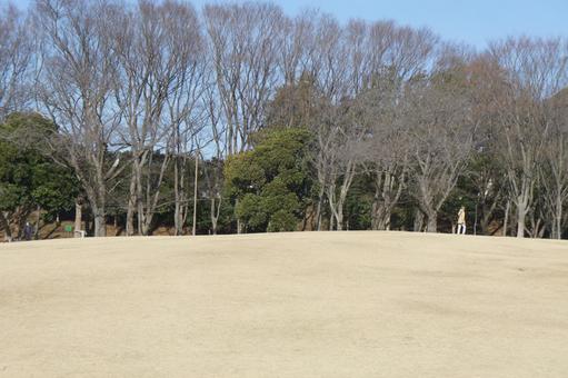 自然 草原,小高い山,自然の写真素材