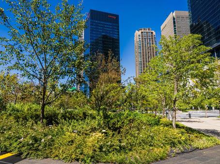 うめきた公園・大阪梅田の緑地 うめきた公園・大阪梅田の緑地 うめきた公園,緑地,都市公園の写真素材