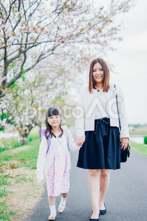 入学式に行く女の子とお母さん 春,母,娘の写真素材