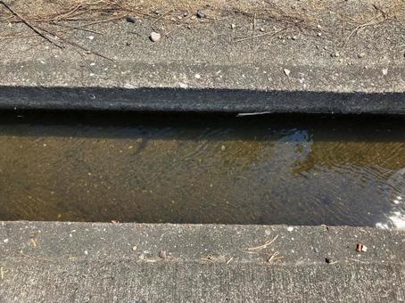 きれいな水を田んぼへ導く用水路 きれいな水を田んぼへ導く用水路の写真