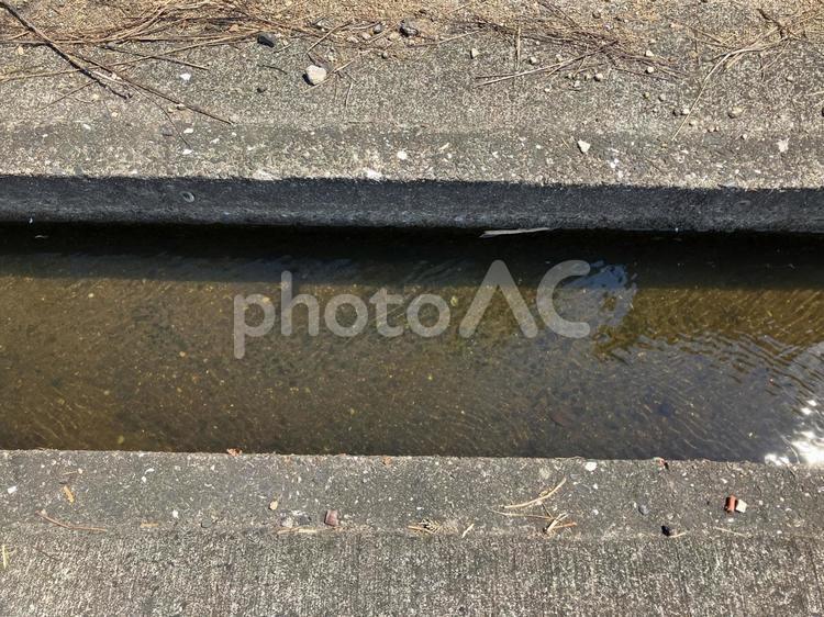 きれいな水を田んぼへ導く用水路 山水,自然,夏の写真素材