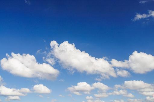 青空に浮かぶ白い雲 青空,空,雲の写真素材