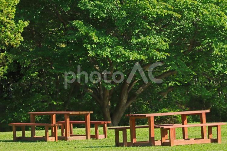 公園や自然のイメージ 公園,自然,旅の写真素材