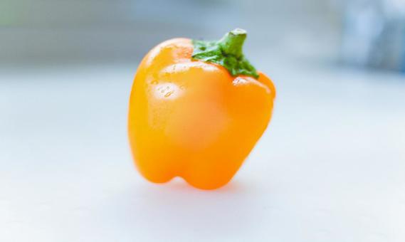 黄色のパプリカ 黄色のパプリカの写真