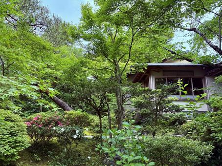 日本庭園からのレストランの母屋 日本庭園からのレストランの母屋の写真