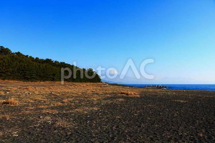 三保の松原からの富士山 三保の松原,富士山,海岸の写真素材
