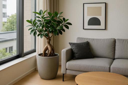  窓辺にガジュマルが置かれたモダンな部屋の写真