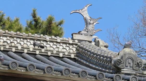 土浦城　太鼓櫓門の鯱　南側 土浦城,亀城,太鼓櫓門の写真素材