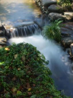 名水百選の流れの写真