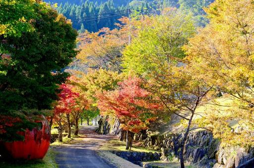 波賀町原りんご園紅葉 波賀町原りんご園紅葉の写真