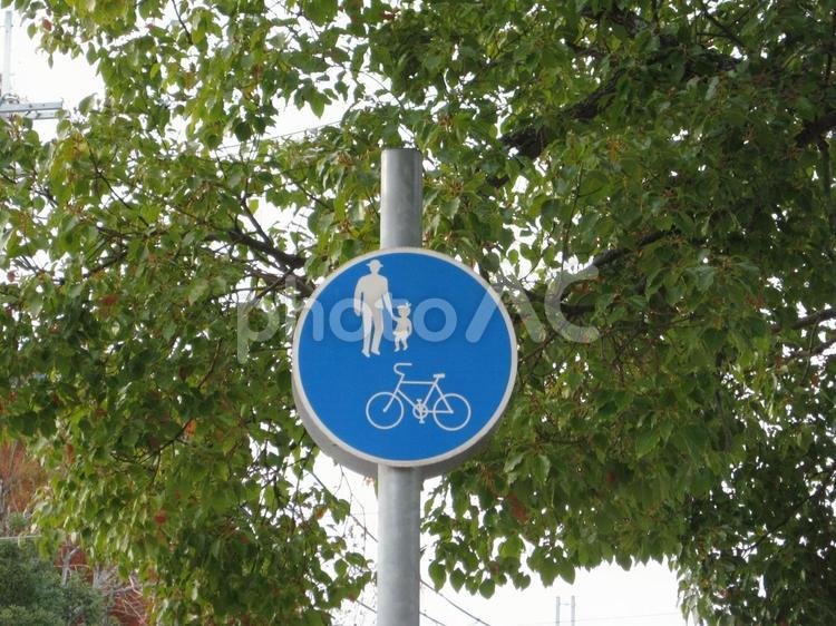 普通自転車歩道通行可の標識 自転車,歩行者,歩道の写真素材