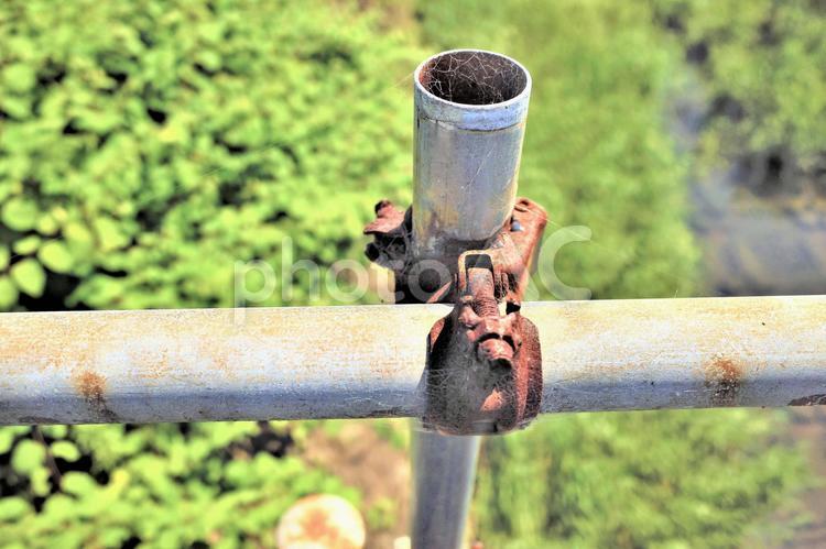 仮設の橋 パイプ,管,足場の写真素材