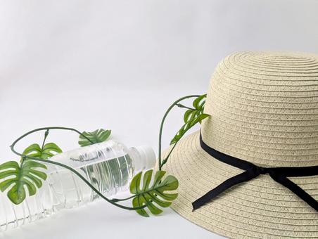 Photo, measures against heat stroke, summer, midsummer, 