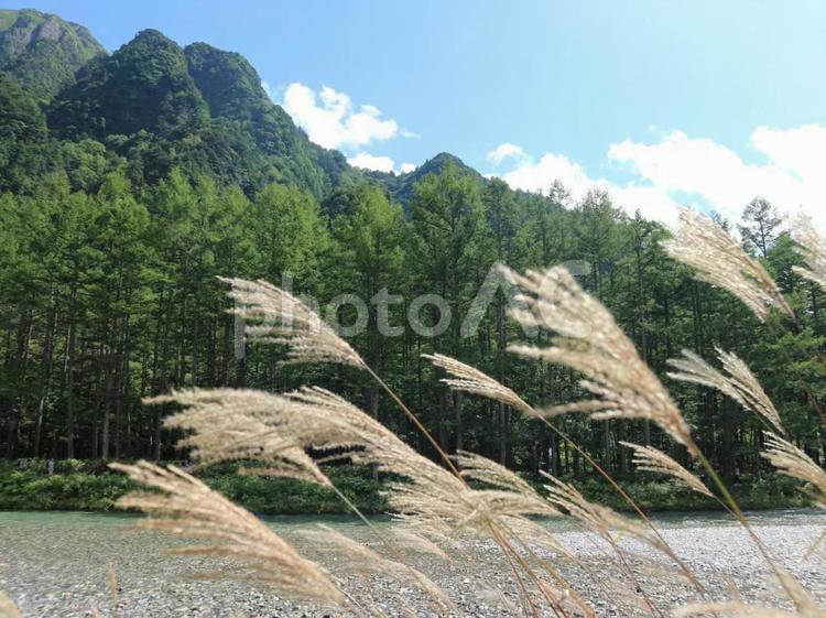 自然 山,自然,川の写真素材
