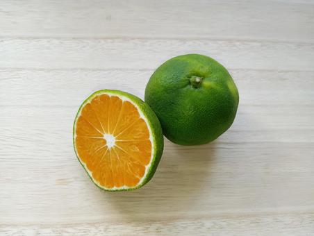 極早生みかん 極早生みかん,みかん,果物の写真素材