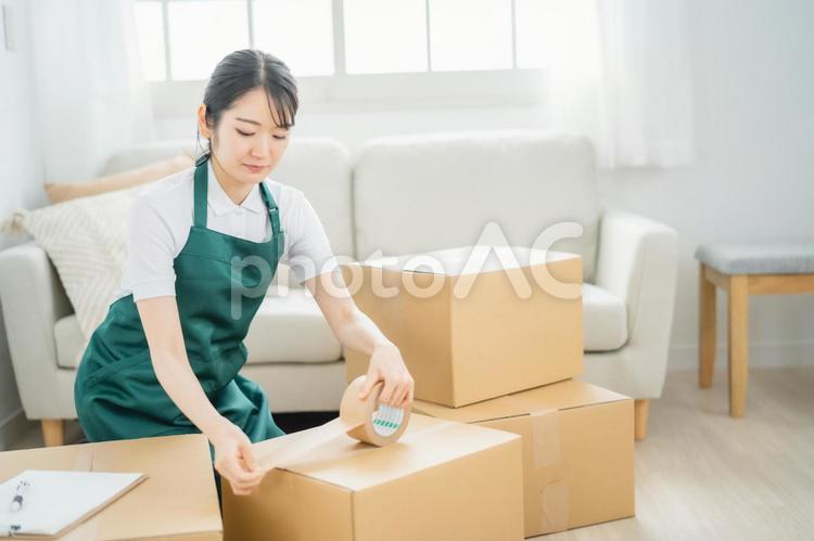 引越し作業をする女性（梱包） 引越し,ダンボール,梱包の写真素材