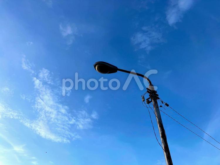 昼の街灯 街灯,昼,晴れの写真素材