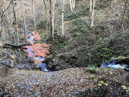 秋の小川 秋の小川の写真