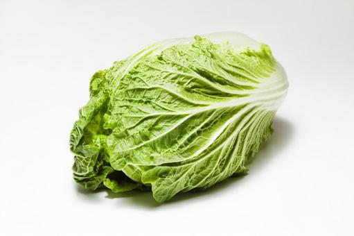白菜6 白菜6 新鮮,野菜,生の写真素材