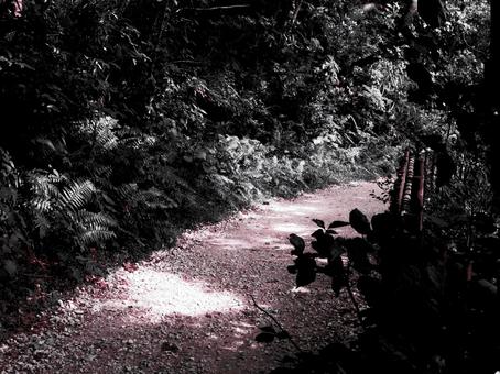 暗い道01 暗い道01の写真