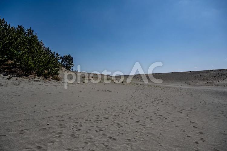 中田島砂丘周辺の景色 中田島砂丘,砂,快晴の写真素材