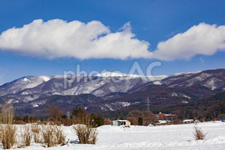 鉢伏山（長野県松本市） 鉢伏山,山,mountainの写真素材