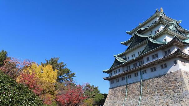 名古屋城　天守　紅葉 名古屋城,尾張徳川家,御三家の写真素材