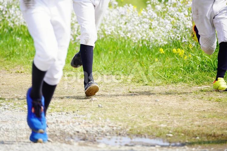 ユニフォームを着てランニングする野球部員 野球,野球部,野球部員の写真素材