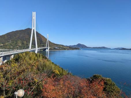 多々羅大橋＠しまなみ海道大三島～生口島 多々羅大橋,橋,斜張橋の写真素材