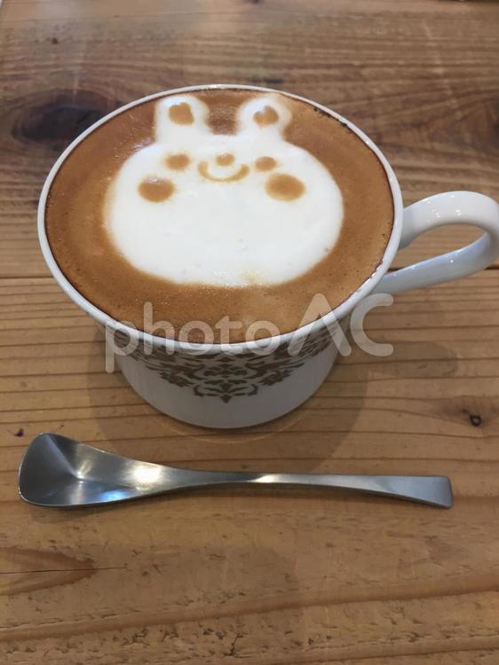 うさちゃんラテアート うさぎ,うさちゃん,お出かけの写真素材