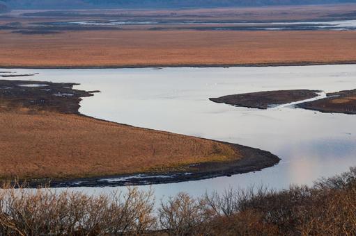 黄金色に染まる霧多布湿原を蛇行する川 湿原,川,蛇行の写真素材