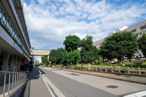 埼玉県庁の風景 埼玉県庁,埼玉県庁舎,県庁の写真素材