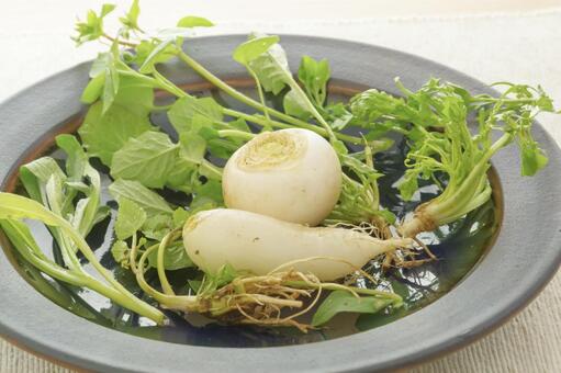 色とりどりの七草粥の食材 春の七草,七草,七草粥の写真素材