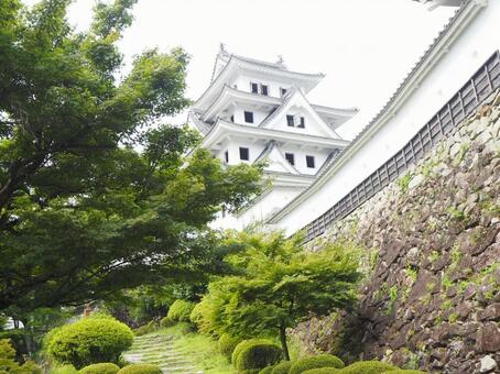 郡上八幡城 郡上八幡城,岐阜,城の写真素材
