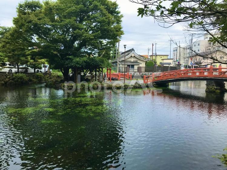 湧玉池（富士宮　浅間大社） 湧玉池,浅間大社,富士山御霊水の写真素材