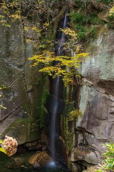 秋の磊々峡⑿ 秋,紅葉,磊々峡の写真素材