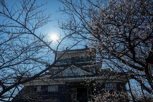 浜松城 浜松城 浜松城,castle,天守閣の写真素材