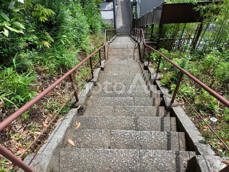 神社から下る長く細い石段 階段,石段,風景の写真素材