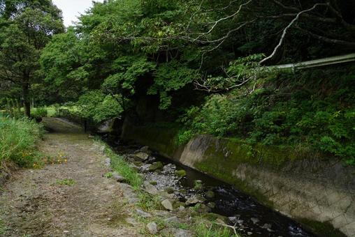 公園の小川 公園の小川 公園,風景,木の写真素材