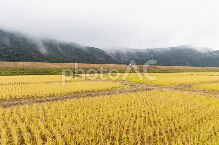 田んぼのある風景 田んぼ,田舎,のどかの写真素材
