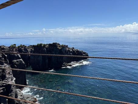 城ヶ崎海岸。 城ヶ崎海岸,静岡県伊東市,海の写真素材