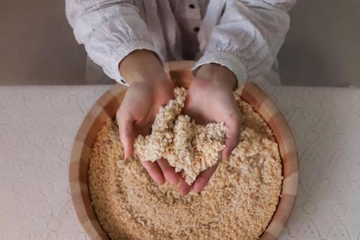 Photo, fermentation, malt, malted rice, 