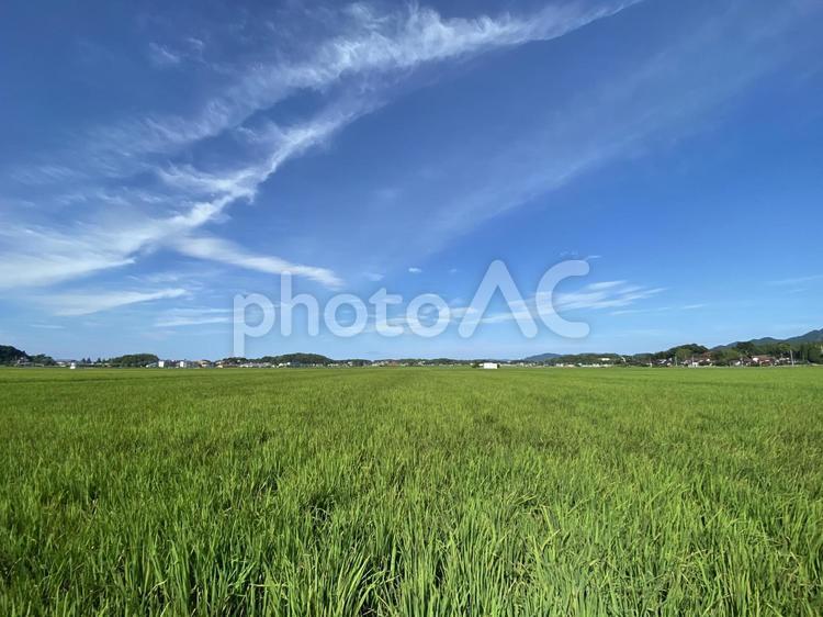 草原の風景 夏,空,旅行の写真素材