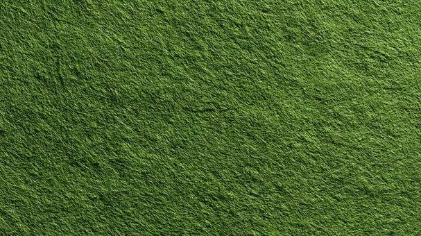 リアルな芝生の質感の写真