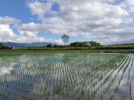 旧豊田移民村 田園風景 旧豊田移民村 田園風景の写真