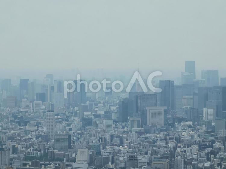 モヤのかかった東京のビル街 東京,都会,街並みの写真素材