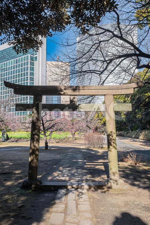 東京　浜離宮恩賜庭園の風景 東京,東京都,浜離宮恩賜庭園の写真素材