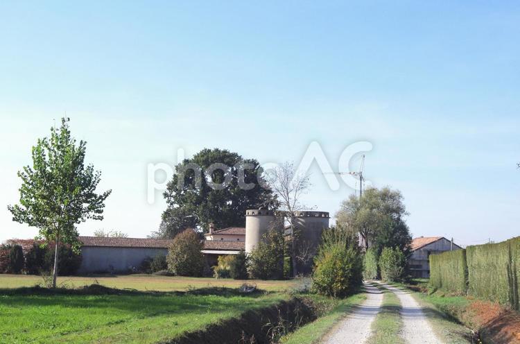 イタリアの農家とサイロがある風景 イタリア,北イタリア,田園風景の写真素材